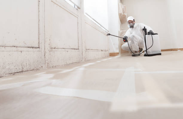 24/7 Emergency Attic Mold Removal experts in Colleyville, TX